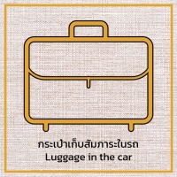 กระเป๋าเก็บของสัมภาระในรถ / ในกระเป๋า